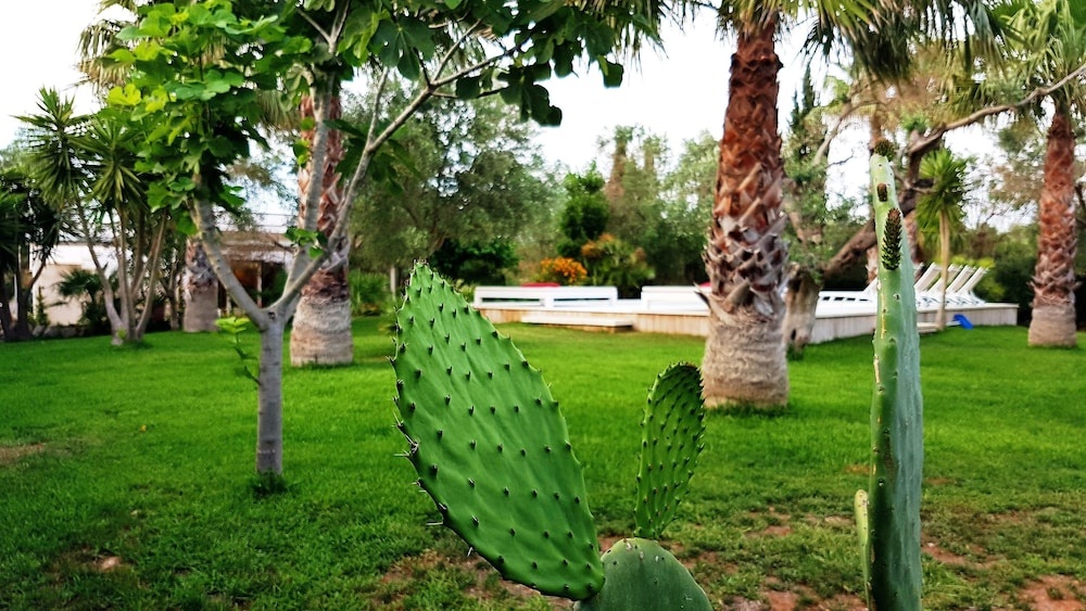 Villa Gina by Perle di Puglia