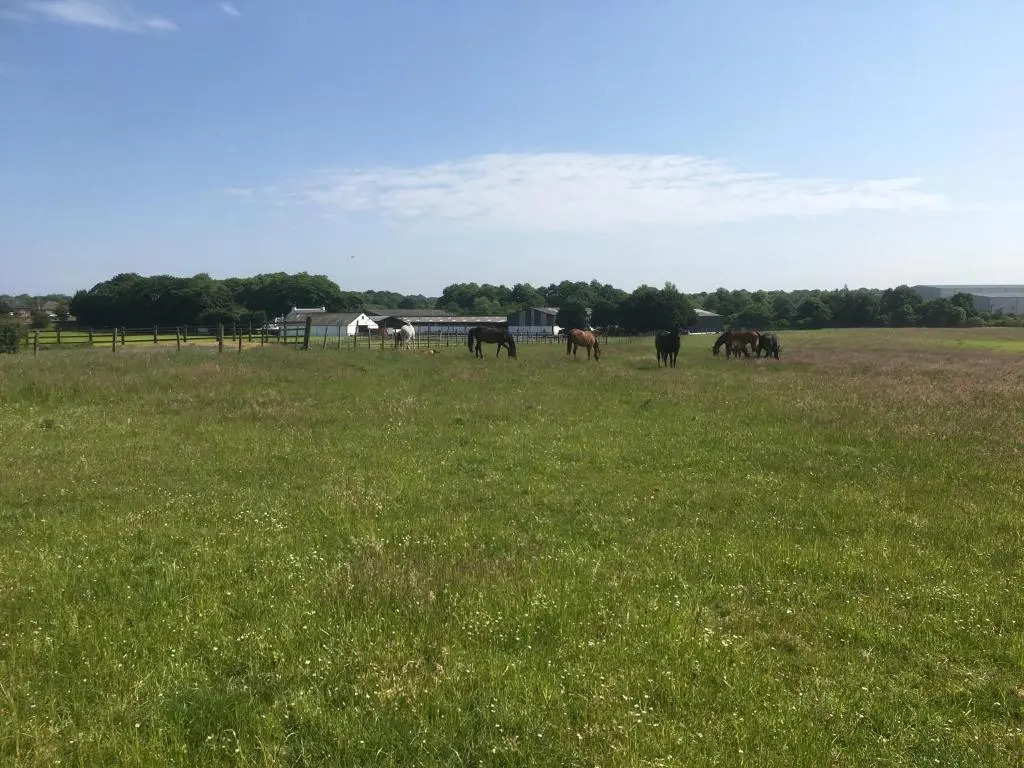 Auchenlea lodges