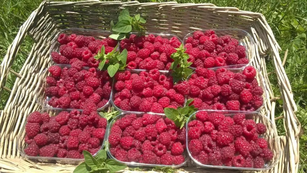 Agriturismo Serec