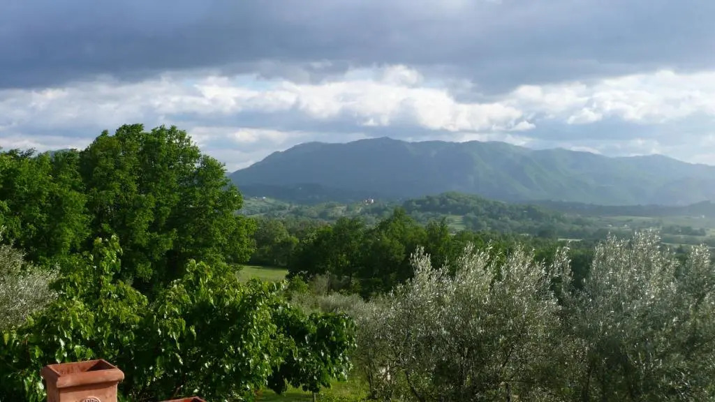 Il Bruco