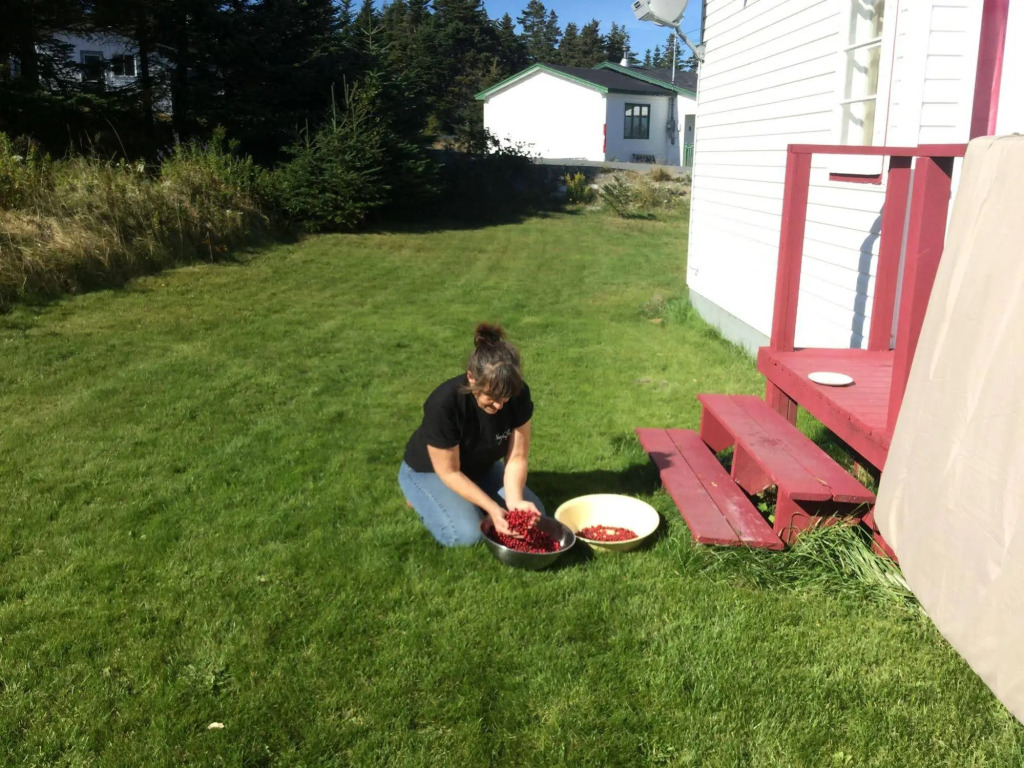 The Meems' Elliston B&B