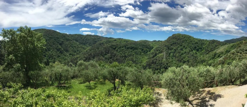 Caddelovi