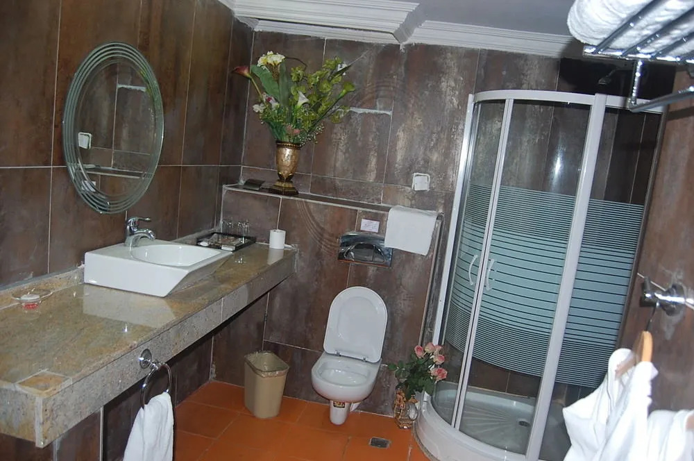 Chelsea Hotel - Guest Room