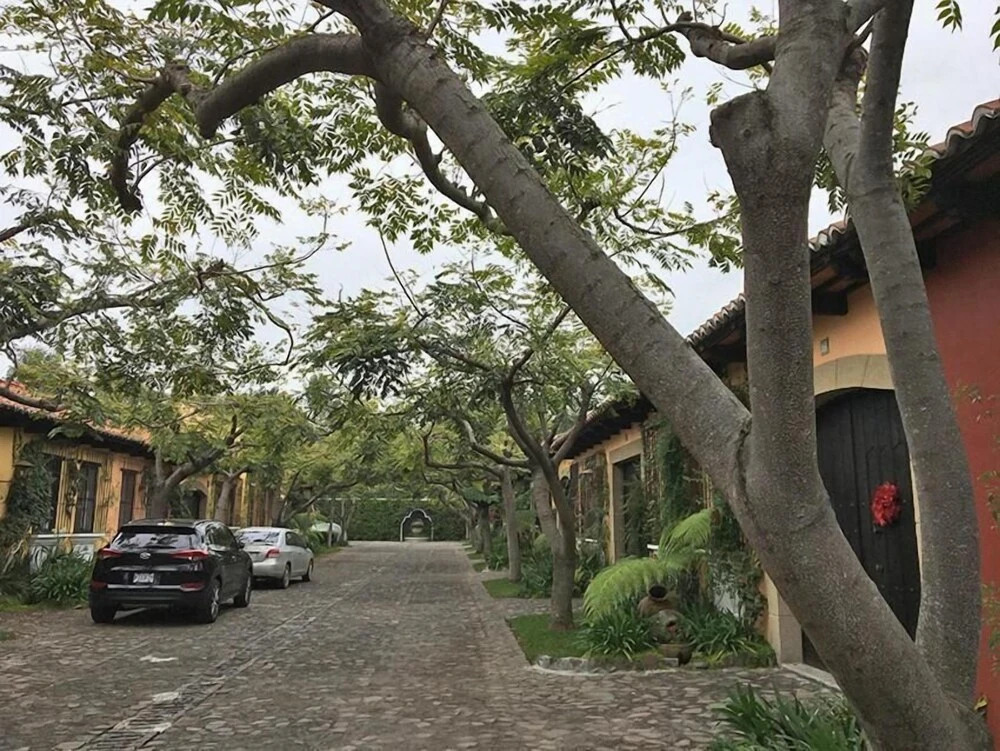Casa de la Alameda