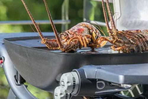 Au Citron Vert