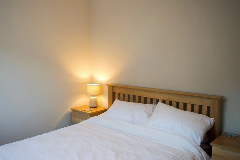 1 Bedroom Apartment Near Botanic Garden