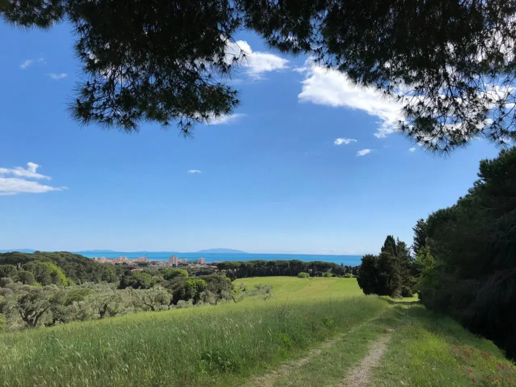 CASENUOVE II - Casale con parco e piscina