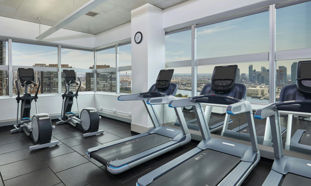 Отель Millennium Hilton New York One UN Plaza