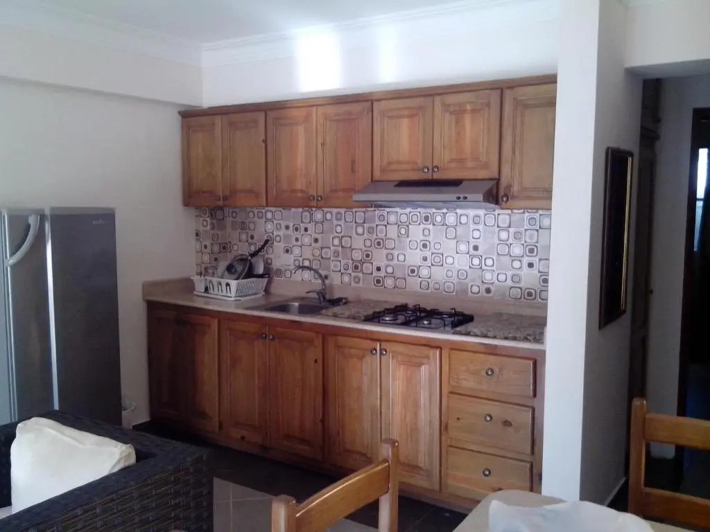 Residencial Las Palmeras de Willy Boca Chica
