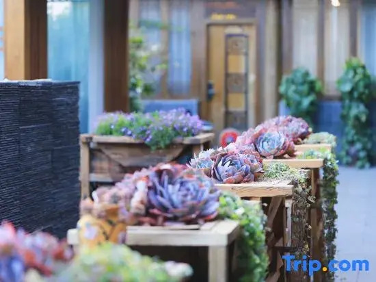 Zhiyun Residence | Lijiang Mufu Royal Garden Resort