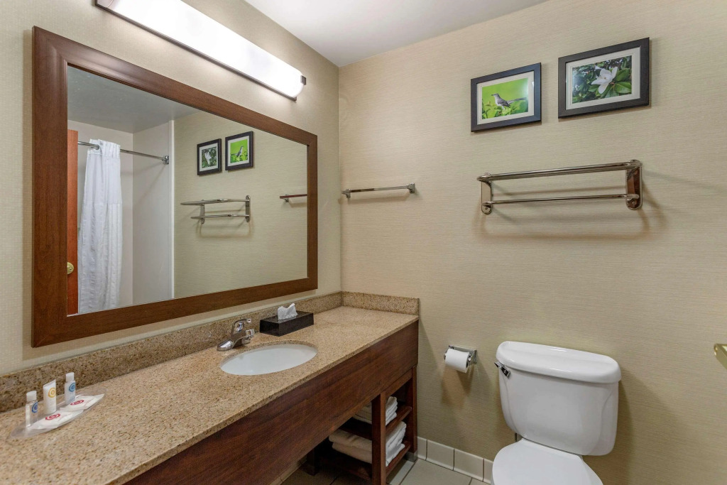 Comfort Suites Southaven - Memphis South