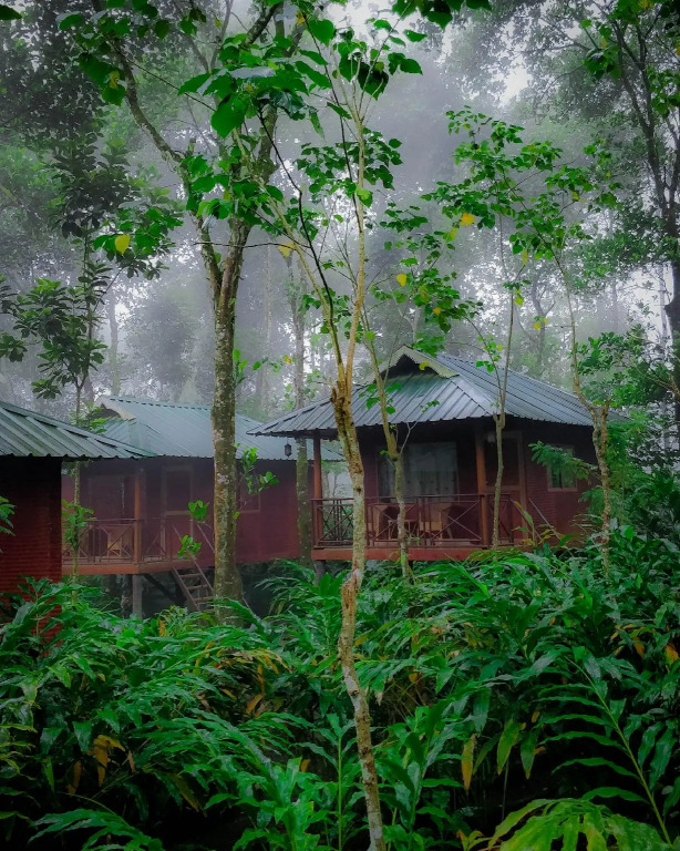 Monsoon Retreats by DAAN