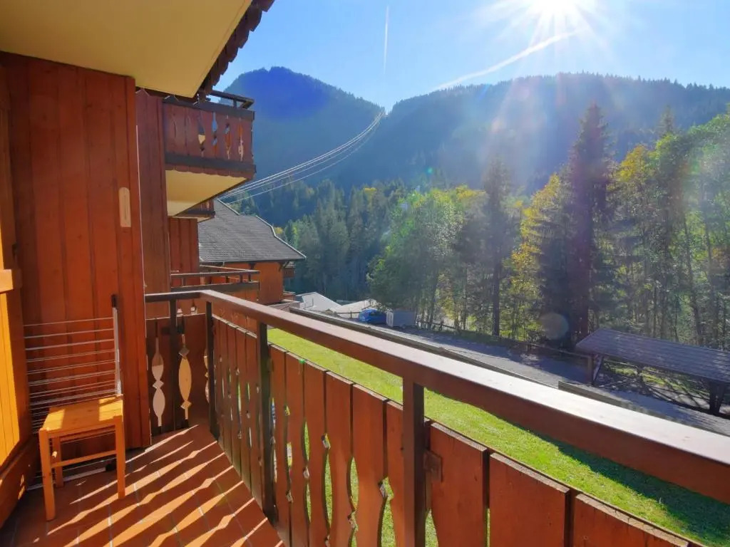 Appartement Morzine, 2 pièces, 4 personnes - FR-1-524-105