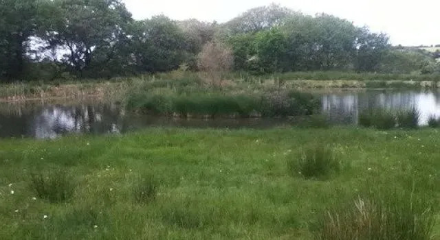 The Swallows Guest House