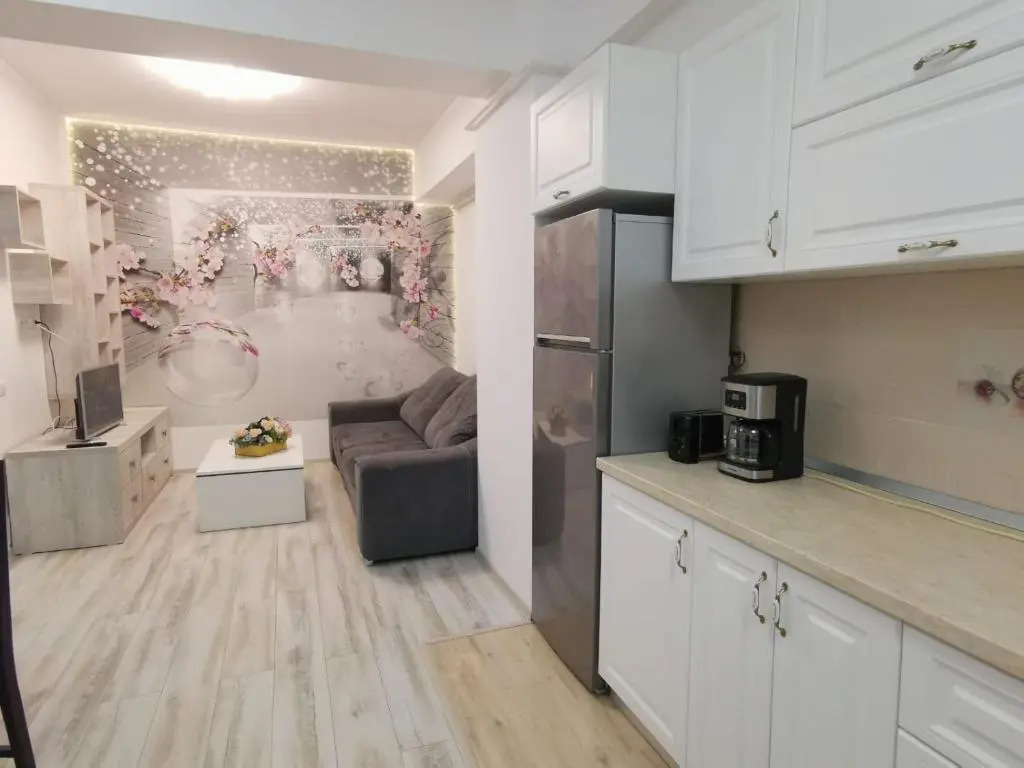 Apartament Palas 2 camere