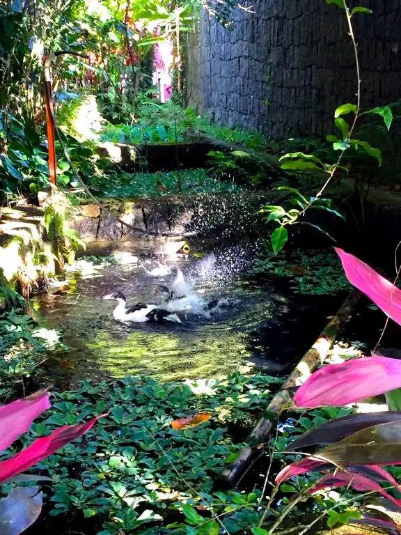 Villa Cachoeira da Rocha