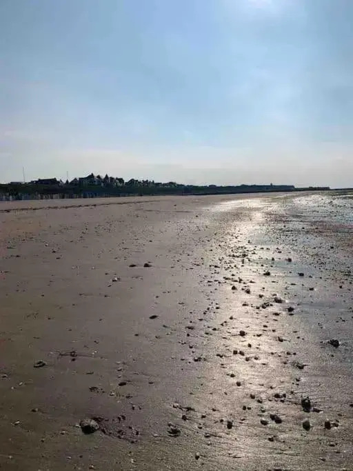 Beach Retreat, Stones Throw Away from Beach
