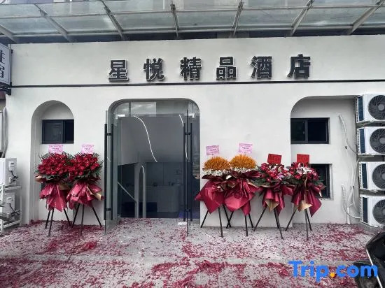 Shanghai Xingyue Boutique Hotel (Qingpu Xincheng Subway Station Chengzhong North Road)