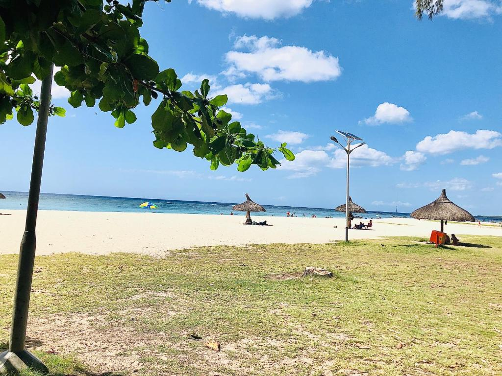 Luxury Westwood Apartment+pool