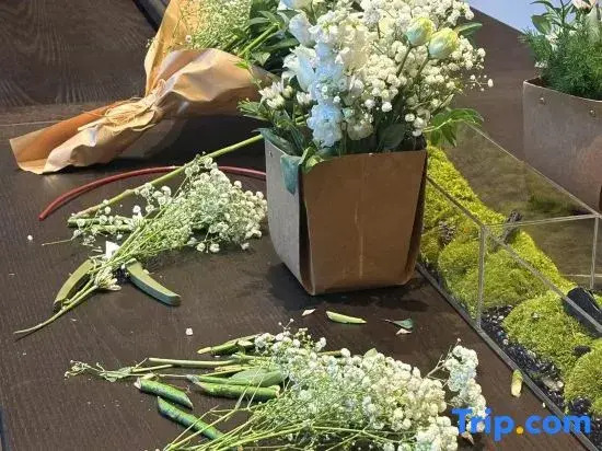 Blossom Manor Shanghai Senlan · Green Lane Hotel