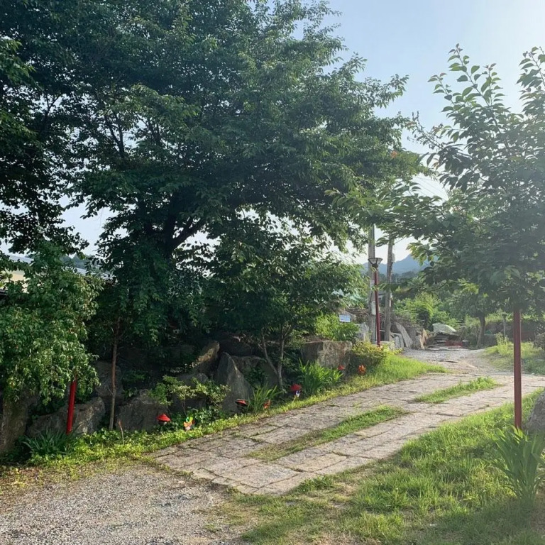 gapyeong trapejium