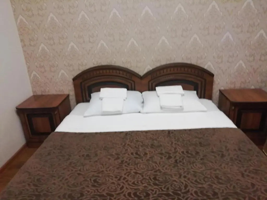 Mini-hotel Yanson 2