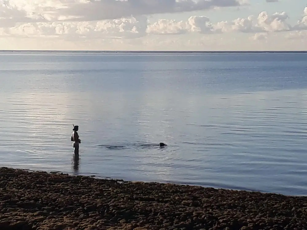 Vaiula Beach Fales