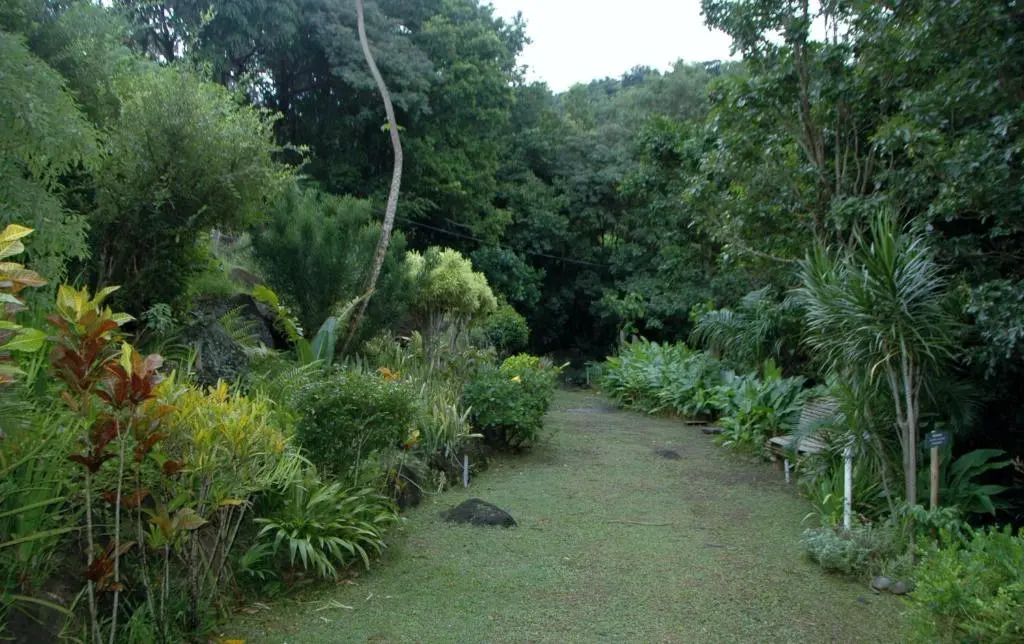 Laliwondaj KOTESI