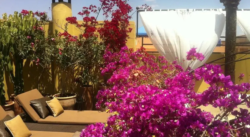 Riad 41