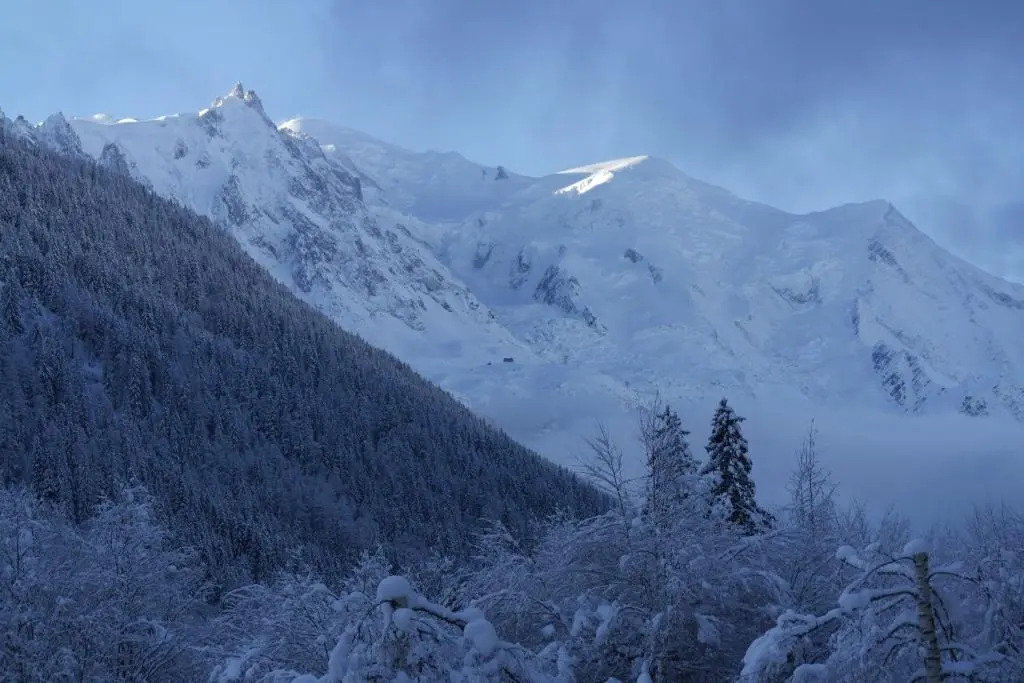 Argentiere - Apartment ideal for ski or summer