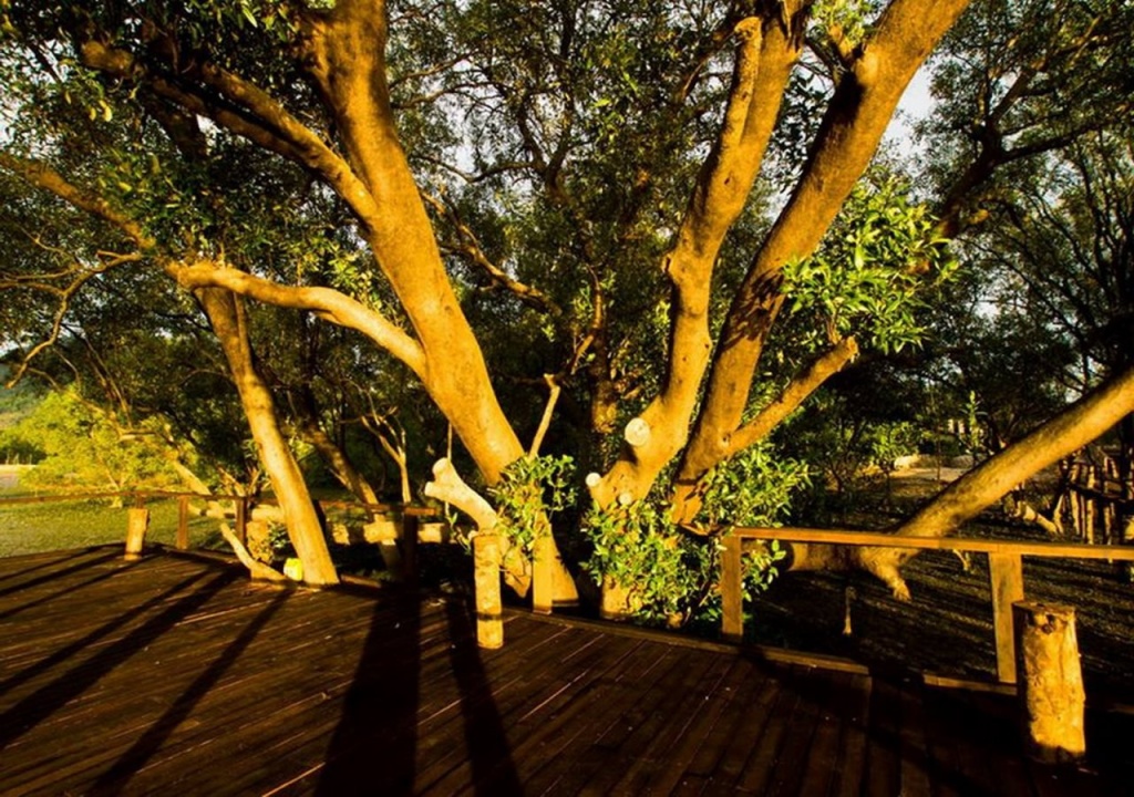 The Nature Home Krabi