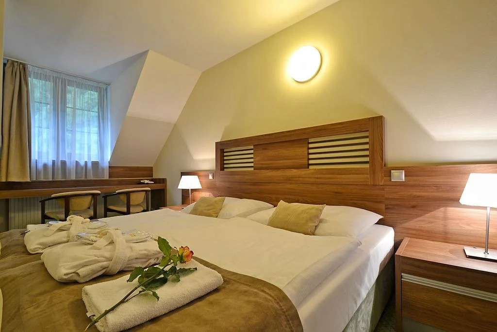 Wellness Hotel Pod Kycmolem