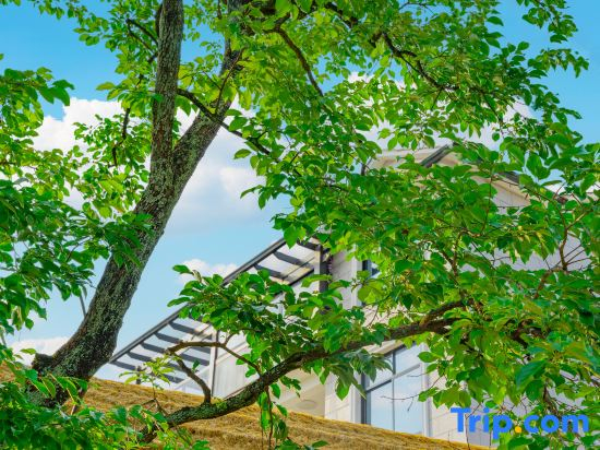Under Persimmon Trees · Fam&Team Retreat·Pool·Pet Stay (Tonglu OMG Park Branch)