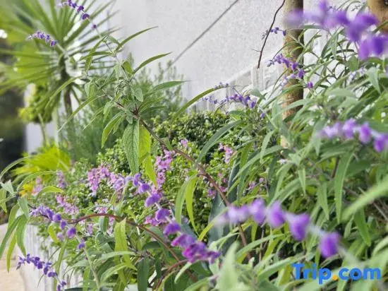 Mangshi Yijin Homestay