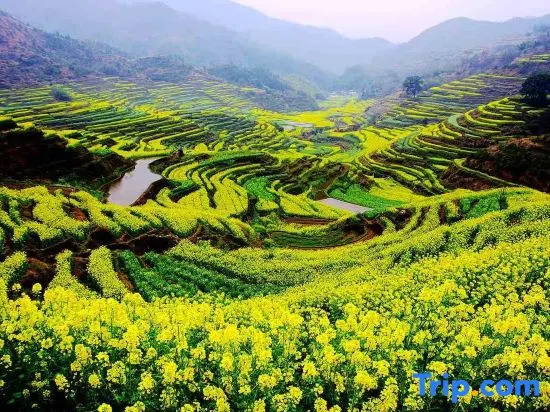 Muxue Yiju 270° Panoramic Mountain View Resort
