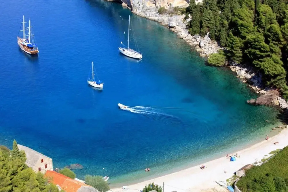 Sea View - 7 m From Beach - A1