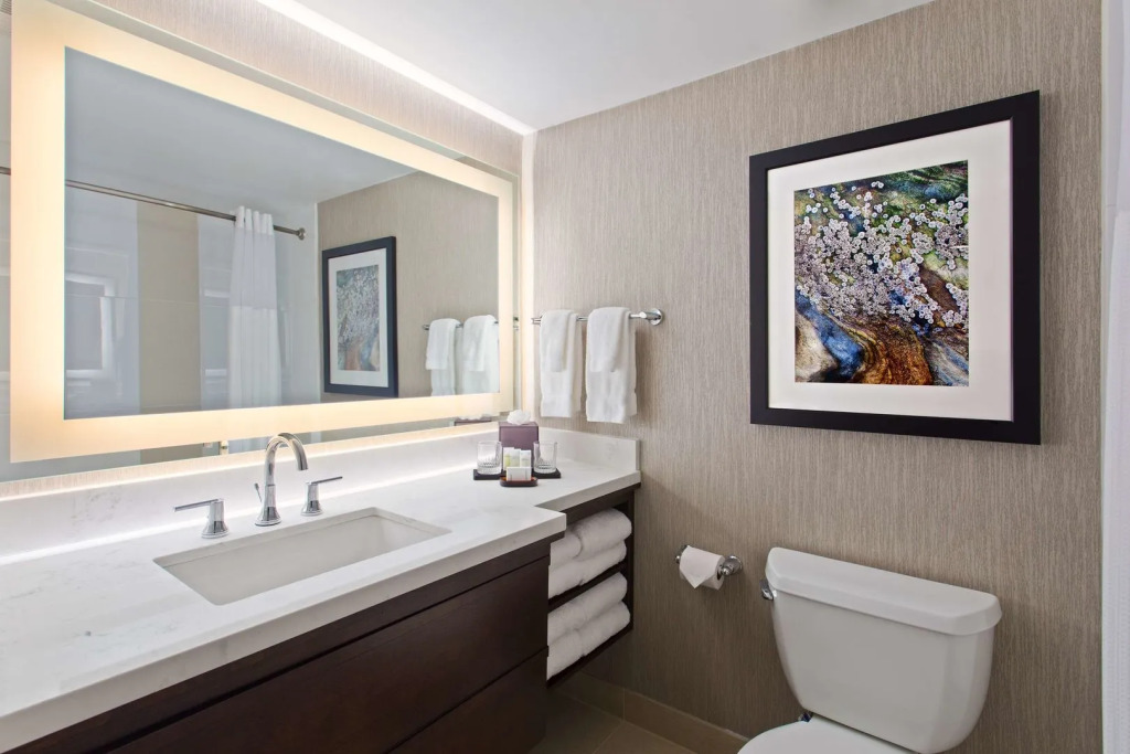 Embassy Suites by Hilton Orlando International Drive Convention Center