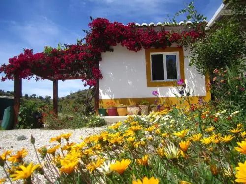 Casa da Osga