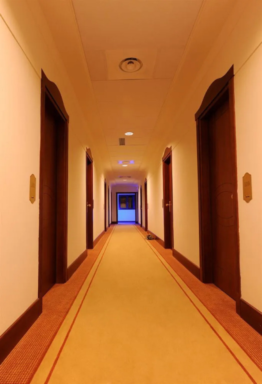 Hotel Palace Savuto