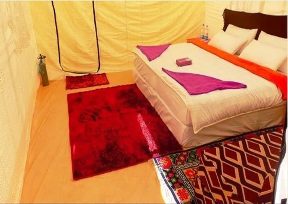 TIH The Regal Camp