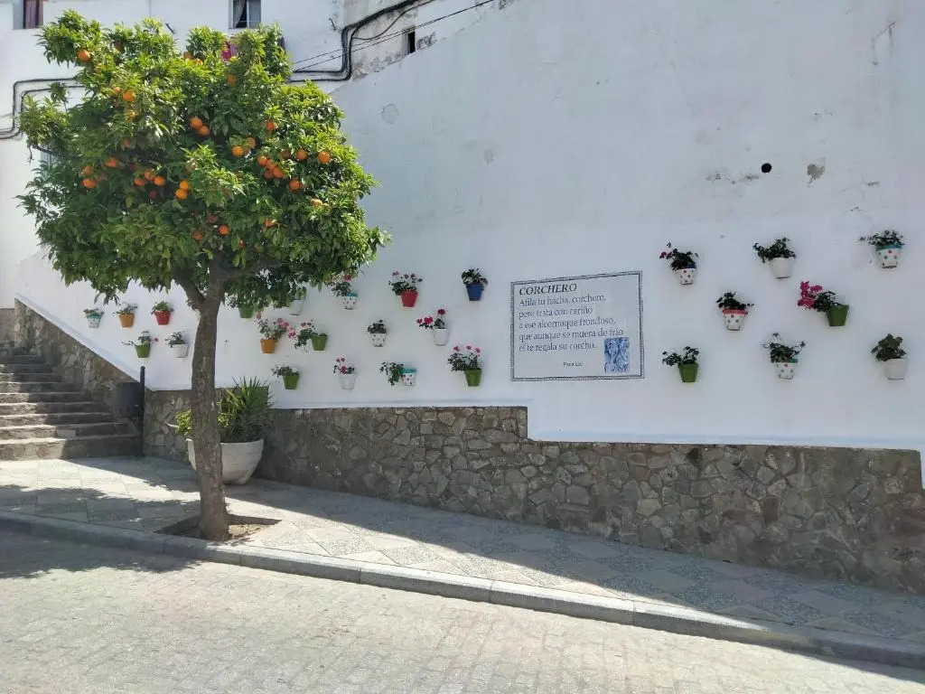 Casa Vista