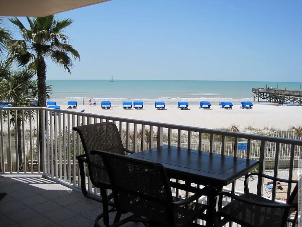 Beach Palms 109