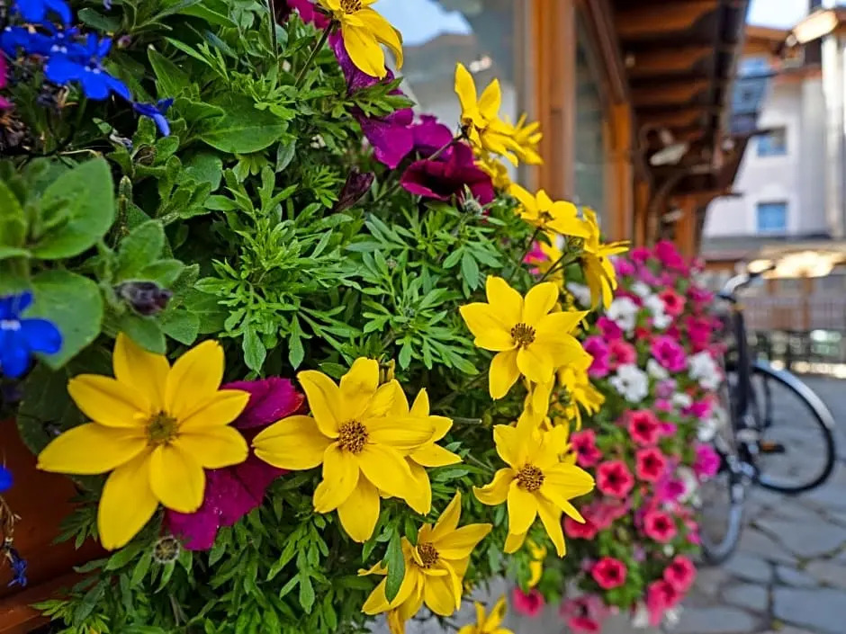 Albergo Alpenrose