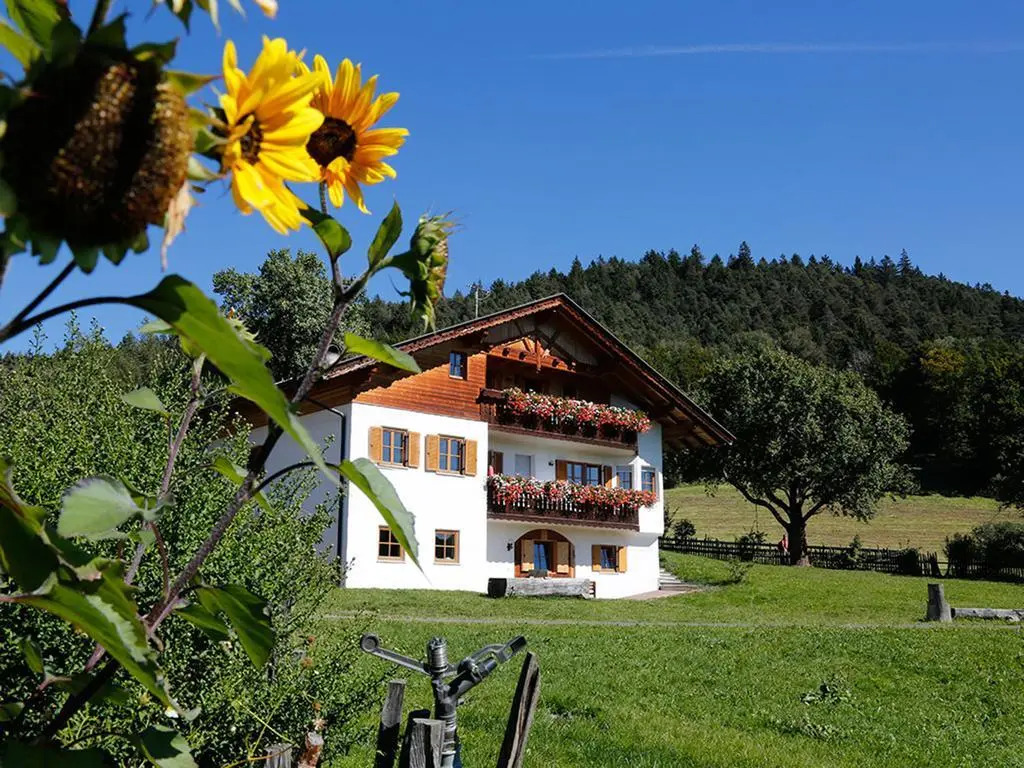 Gastreinhof