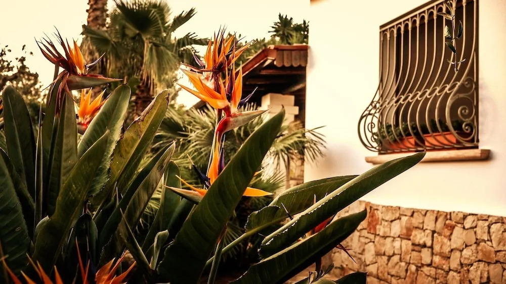 Villa Bellosguardo