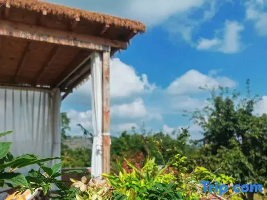 ZiYang No Difference·Tuopan Qingyuan Guesthouse