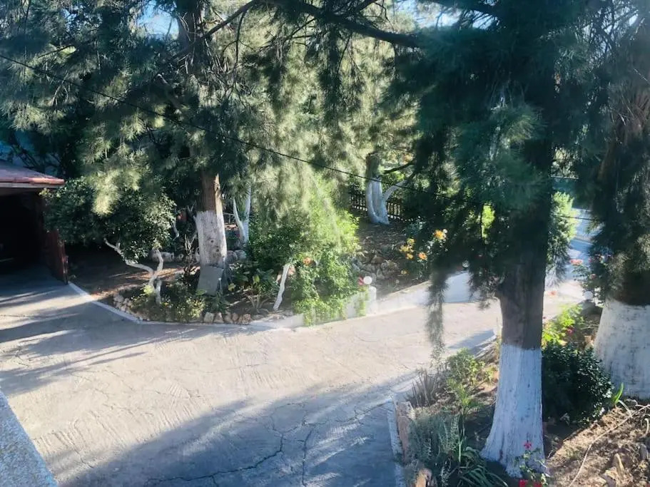 ΝΙRΑSΤΕRΟ - The house in the trees
