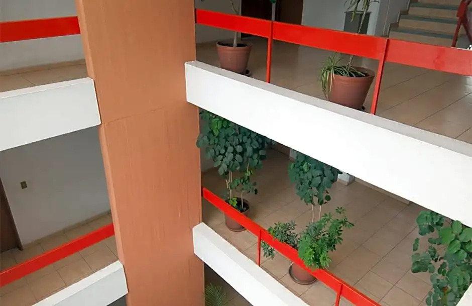 Suites Futura