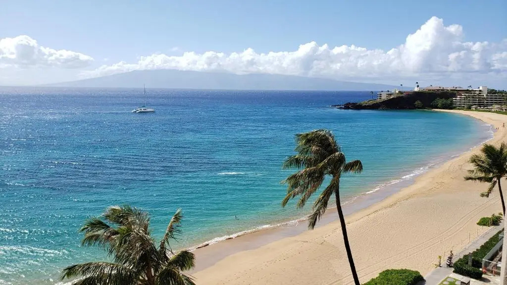 Maui Westside Presents- The Whaler 319