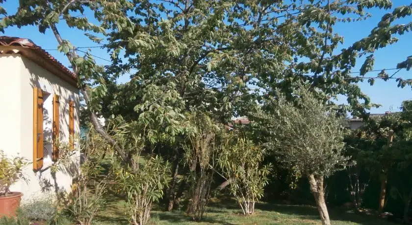 Les Cerisiers